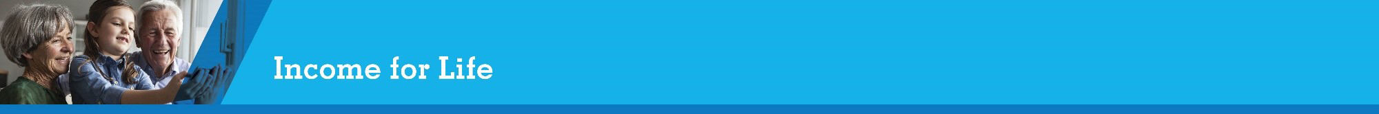 income extended banner income